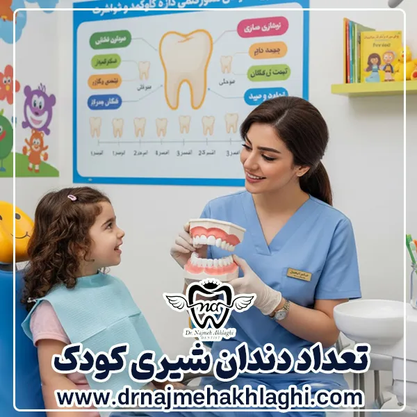 تعداد دندان شیری کودک چند تاست؟