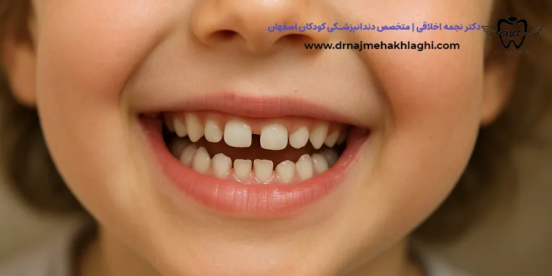 وظایف مهم و اختصاصی دندان های شیری